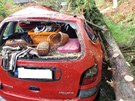 Následky bouek: Strom spadl na osobní vozidlo u Staré Paky na Jiínsku. 