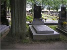 Koupit mete i prázdnou hrobku ve výborném stavu v Chotboi u Havlíkova...