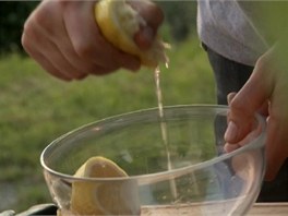Na saltovou zlivku do misky vymakejte vu z citronu.