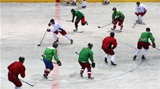 Trénink hokejistů Olomouce