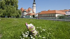 Pahýl, který zstal po nabourané lamp.