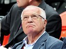 Prezident Václav Klaus sleduje enské basketbalové utkání esko - Turecko. (30.