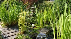 Malá vodní fontánka vytváí pohledov atraktivní prvek.