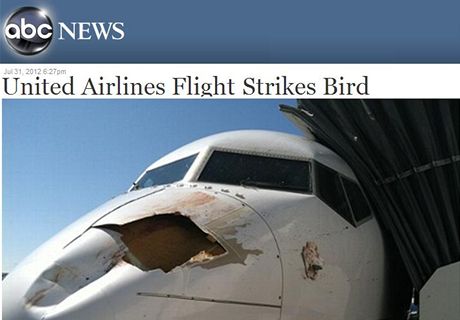 Boeing 737 spolenosti United Airlines po sráce s ptákem.