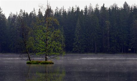 Kladská nabídne turistm novou atrakci, kterou bude Dm pírody. Lidem se oteve zaátkem ervence.