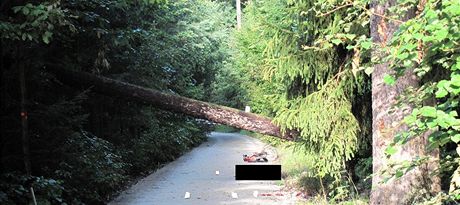 Na Táborsku zemel motocyklista po nárazu do vyvráceného stromu (ilustraní snímek).