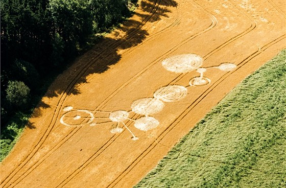 Kruhy v obilí u Bílého Kamene na Jihlavsku, jak je vidl pilot z letadla.