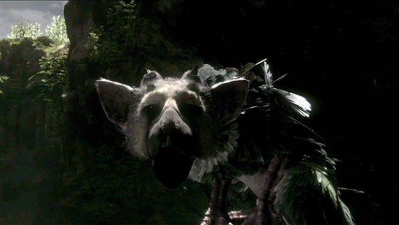 The Last Guardian