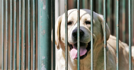 (ilustra�ní foto)