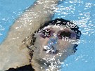 UMLECKÉ DÍLO. Fotografie americké plavkyn Missy Franklinové pipomíná spí