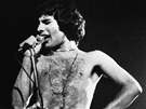 Narodil se jako Farrokh Bulsara, svt ho znal ale pod jmnem Freddie Mercury.