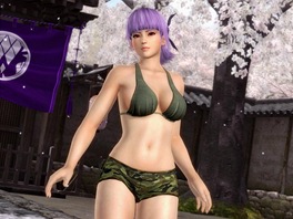 Dead or Alive 5