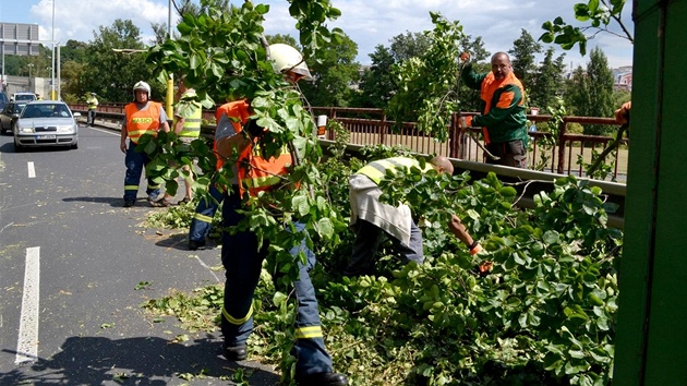 Na prtahu Karlovmi Vary spadl na kamion vzrostl strom. idi vyvzl bez zrann. Silnice ale byla 90 minut neprjezdn.