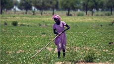 Tak kdepak je? Etiopané netu�í, co se s jejich premiérem mohlo stát. Ilustra�ní