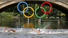 enský plavecký maraton na 10 kilometr (9. srpna 2012)