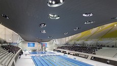 London Aquatics Centre - nkteí plavci byli nespokojeni se svtly, která je