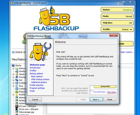 USB FlashBackUp