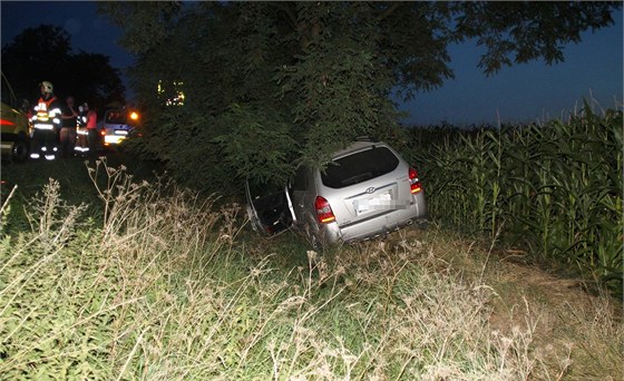 Pedjídné auto sjelo do píkopu a narazilo do stromu.