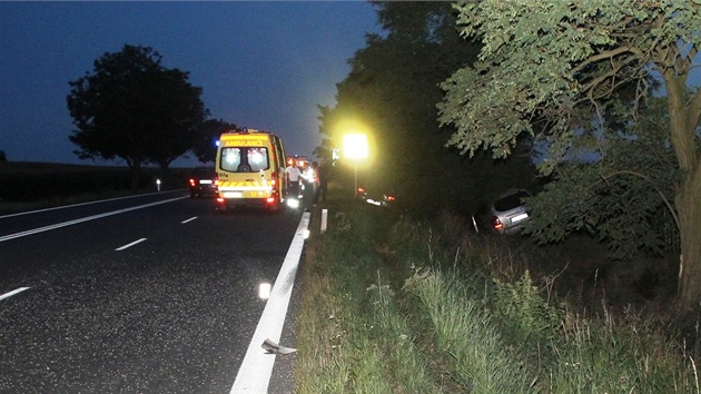 Pedjdn auto sjelo do pkopu a narazilo do stromu.