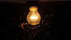 P�ITA�LIVOST �ÁROVKY. Desítky moskyt�, a dokonce i jedna vá�ka poletují kolem