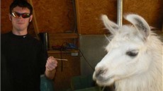 Fotografie s lamou, kterou James Holmes p�ilo�il ke své �ádance o presti�ní