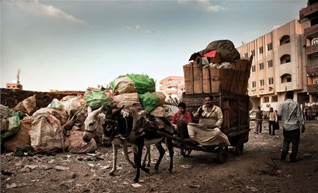 Zabbalíni ijí v Káhie mezi horami odpadku, které recyklují. Jsou v tom