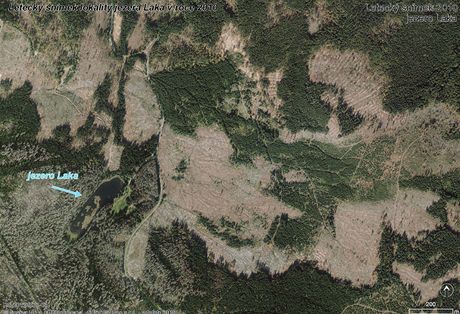 Les v okol jezera Laka v roce 2010 po zsazch proti krovci v dob, kdy byl