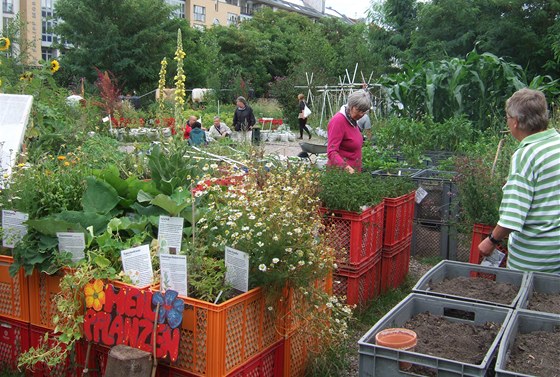 Prinzessinnen garten v Berlín.