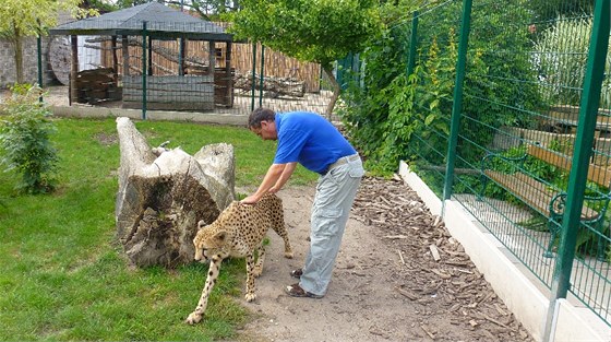 René Frank, zakladatel a editel chlebské zoo, s gepardicí Mzuri