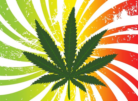 Marihuana (ilustraní foto)