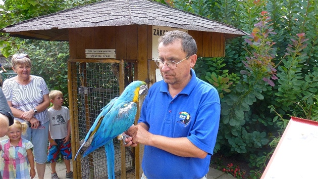 editel chlebsk zoo Ren Frank s papoukem ara, kter je zvykl na pm kontakt s nvtvnky. 