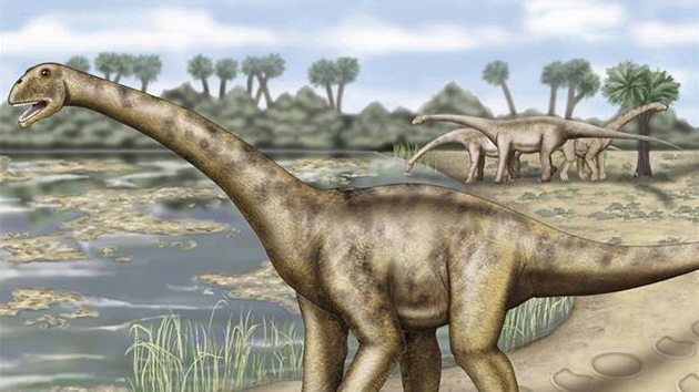 Turiasaurus riodevensis, nejvt&#237; dinosaurus, kter&#253; se pohyboval po