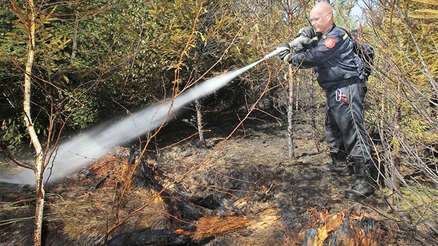 Požár lesního porostu u Červeného Hrádku nedaleko Plzně.