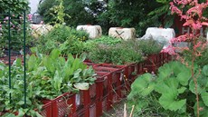 Prinzessinnen garten v Berlín.