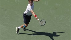 SNAHA. Belgian David Goffin bojoval v prvním kole US Open s Tomáem Berdychem.