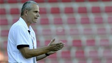 Spar�anský trenér Vít�zslav Lavi�ka povzbuzuje své sv��enci b�hem ligového