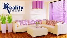 Reality pod lupou