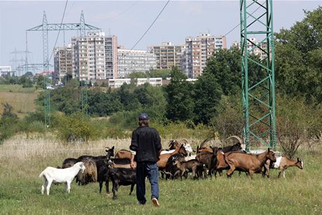 Na Jiním Mst vyrstá teprve druhá generace lidí, take nkteré vci se...