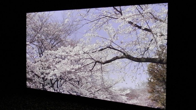 Prototyp 145palcové plazmové obrazovky s rozlišením 8K. V originále je to přece jen o dost lepší