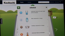 Koubachi - vá stráce kvtin