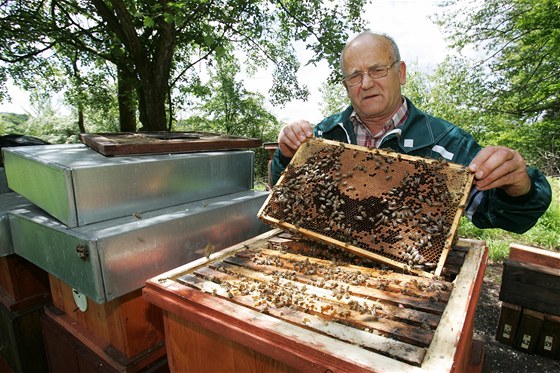Včelař Josef Šefčík z Dubiny chová včely v Doupovských horách.