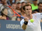 SOUPE. Andy Murray se v semifinále US Open utká s Tomáem Berdychem.