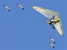 Takto vypadá ornitology organizovaný let jeřábů za kluzákem (19. prosince 2006)
