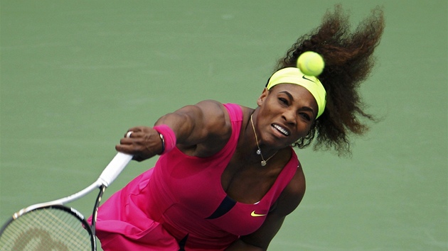 SERENA V AKCI. Americk tenistka Serena Williamsov v duelu s Andreou Hlavkovou.