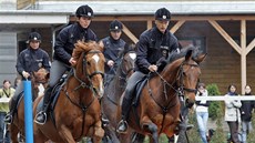 Ukázky výcviku sluebních koní, na snímku jízdní oddíl mstské policie.
