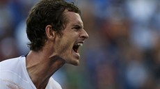 ANO! Andy Murray se raduje bhem osmifinále US Open.
