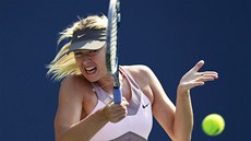 Maria arapovová posílá míek pes sí v semifinále US Open.