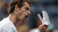 ROZLADNÝ ANDY. Brit Andy Murray se zlobí v semifinále US Open proti Tomái
