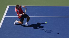 JAK DOPADNE TENHLE RETURN? David Ferrer v semifinále US Open.