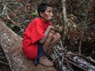Indián z amazonského kmene Yanomami